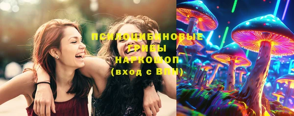 стафф Вяземский