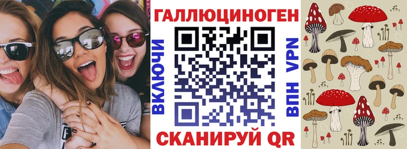 Купить где  Видное  Псилоцибиновые грибы Psilocybe 